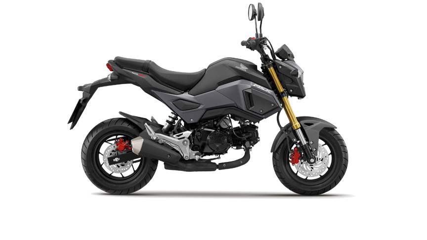 753-msx_axis_gray_big