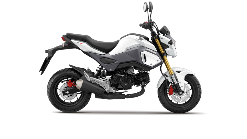 852-msx_pearl_himalayas_white_big